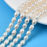 5Strand Freshwater Pearl Beads Rice Shape DIY Jewelry Making