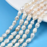5Strand Freshwater Pearl Beads Rice Shape DIY Jewelry Making