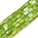 Freshwater Shell Beads Strands for DIY Jewelry Making