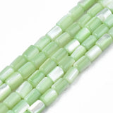 Freshwater Shell Beads Strands for DIY Jewelry Making