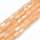 Freshwater Shell Beads Strands for DIY Jewelry Making
