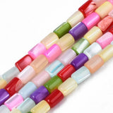 Freshwater Shell Beads Strands for DIY Jewelry Making