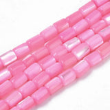 Freshwater Shell Beads Strands for DIY Jewelry Making