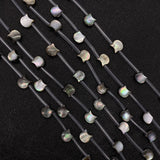 5pcs Cat Head Seawater Shell Beads 10mm DIY Jewelry Making