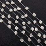 5pcs Cat Head Seawater Shell Beads 10mm DIY Jewelry Making