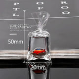 5pcs Fish Bag Resin Charms Earring Keychain Jewelry Making Pendant Charm