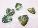 5pcs Freshwater Pearl Oysters, Breeding for 3 Years, 6-7mm Pearls