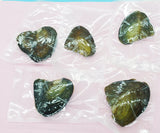 5pcs Freshwater Pearl Oysters, Breeding for 3 Years, 6-7mm Pearls