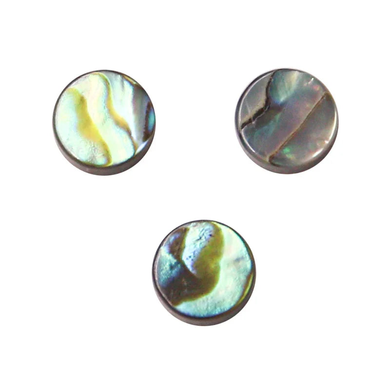 5pcs Abalone Paua Shell Cabochons Flat Round 6-14mm