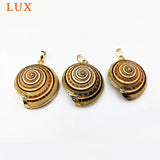 5pcs Natural Conch Shell Pendant Beads Sea Snail Large Pendants