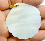 5pcs Freshwater Shell Necklace Pendants Charms 38*36MM