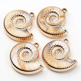 5pcs Oval Marine Natural Shell Spacer Beads 10-20mm Conch Loose Beads