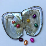 5pcs Vacuum-pack Oyster Wish Pearls, Freshwater Mussel Shell, 6-7MM Oval Bead