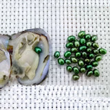 5pcs Vacuum-pack Oyster Wish Pearls, Freshwater Mussel Shell, 6-7MM Oval Bead