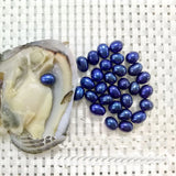 5pcs Vacuum-pack Oyster Wish Pearls, Freshwater Mussel Shell, 6-7MM Oval Bead