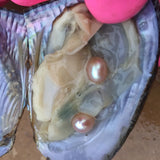 5pcs Vacuum-pack Oyster Wish Pearls, 6-7 mm Oval Twins Pearl, Mixed Colors