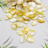 5pcs Natural Mother-of-Pearl Petal Beads for DIY Jewelry Making