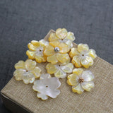 5pcs Natural Mother-of-Pearl Shell Beads Jewelry DIY Accessories