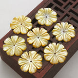 5pcs Natural Mother-of-Pearl Shell Beads Jewelry DIY Accessories