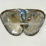 5pcs Freshwater Vacuum Oyster Pearls with 6-8mm Oval Rice Pearl Inside