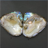 5pcs Freshwater Vacuum Oyster Pearls with 6-8mm Oval Rice Pearl Inside