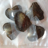 5pcs Freshwater Vacuum Oyster Pearls with 6-8mm Oval Rice Pearl Inside