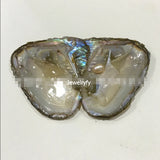 5pcs Freshwater Vacuum Oyster Pearls with 6-8mm Oval Rice Pearl Inside