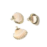 5pcs High Plated Cowrie Shells for Jewelry Making