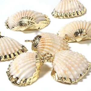 5pcs High Plated Cowrie Shells for Jewelry Making