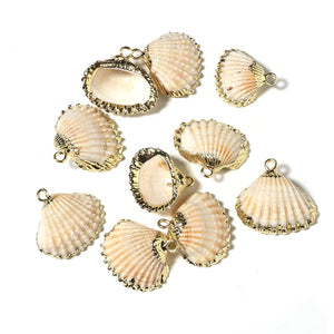 5pcs High Plated Cowrie Shells for Jewelry Making