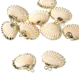 5pcs High Plated Cowrie Shells for Jewelry Making