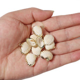 5pcs High Plated Cowrie Shells for Jewelry Making