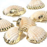 5pcs High Plated Cowrie Shells for Jewelry Making