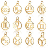 Zodiac Sign Stainless Steel Gemini Horoscope Necklace Pendant