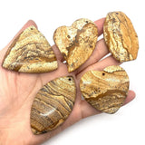 5pcs Mixed Shape Natural Stone Drawing Pendant Set for DIY Necklace