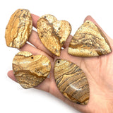 5pcs Mixed Shape Natural Stone Drawing Pendant Set for DIY Necklace