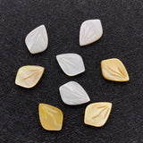 5pcs Yellow Sea Shell Loose Beads Charms 10x14mm DIY for Jewelry