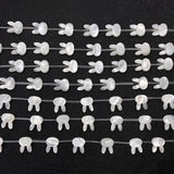 5pcs Rabbit Shaped Natural Sea Shell Loose Beads 10x12mm White/black DIY