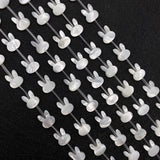5pcs Rabbit Shaped Natural Sea Shell Loose Beads 10x12mm White/black DIY