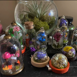 Glass Jar Pendant Kit with Beads Cap Set DIY Jewelry Findings