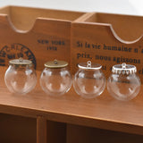 5 Sets 30*20mm Hollow Glass Globe with Setting Base Beads Cap Set