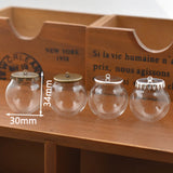 5 Sets 30*20mm Hollow Glass Globe with Setting Base Beads Cap Set
