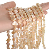 6-13MM Brown Shell Beaded Beads for Jewelry Making 32-69PCS/lot
