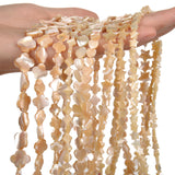 6-13MM Brown Shell Beaded Beads for Jewelry Making 32-69PCS/lot