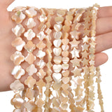 6-13MM Brown Shell Beaded Beads for Jewelry Making 32-69PCS/lot