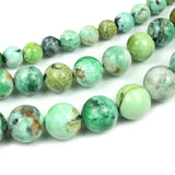 Green Variscite Stone Beads - 6/8/10/12mm