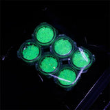 6-Bottle Glow-In-The-Dark Glitters Resin Jewelry Nail Art Craft Tools