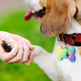 Pet Tag Crystal Epoxy Resin Mold DIY Pendant Keychain Silicone Mold