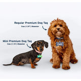 6 Pcs Pet Dog Tag Silicone Mould Epoxy Resin Mold Keychain Pendant Crafts