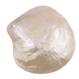 Natural Light Yellow Mother of Pearl Sea Shell Dish Home Decor